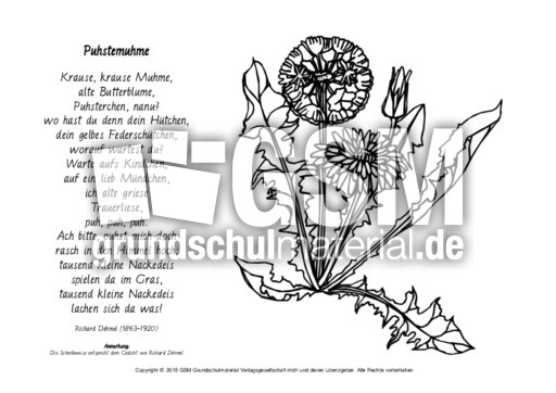 Puhstemuhme-Dehmel-ausmalen.pdf